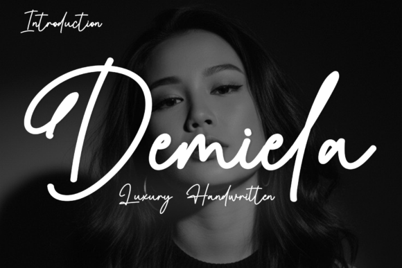 Choosing Demiela: A Font That Brought Consistency to My Small Business