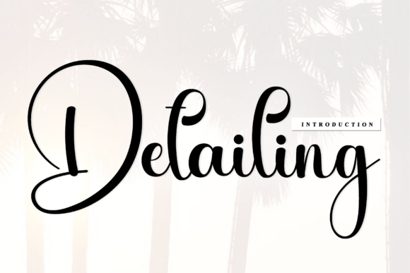 Detailing: A Professional Script Font for Building a Cohesive Brand